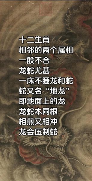 生肖龙对什么属相不合（生肖龙和什么生肖不合？新手避坑指南）