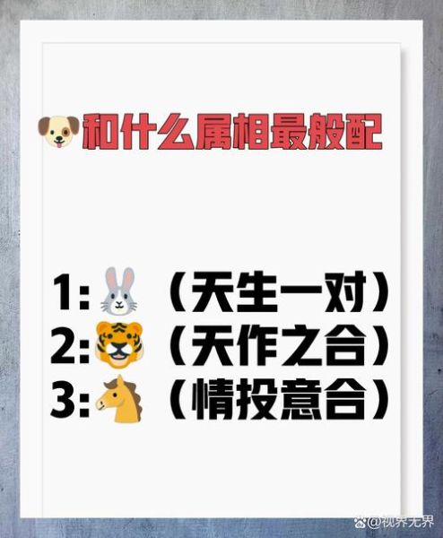 生肖狗和哪个属相最好（生肖狗和哪个属相最合婚）