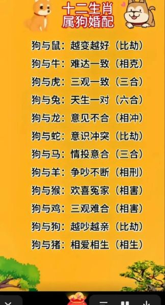 属相相克生肖（2024年属狗和哪些生肖相克）