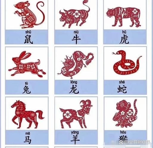 完美属相是哪个生肖
