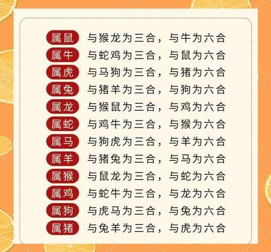 虎型生肖有哪些属相（虎的六合三合生肖是哪些）