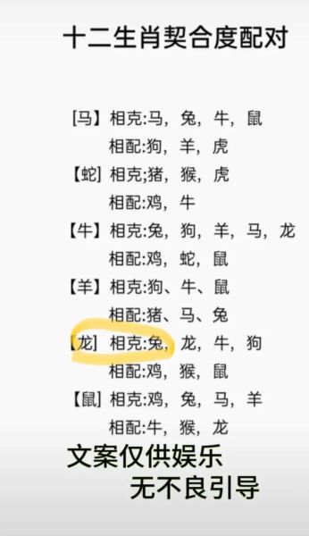 11月生肖属相（11月出生属相是兔还是龙？）