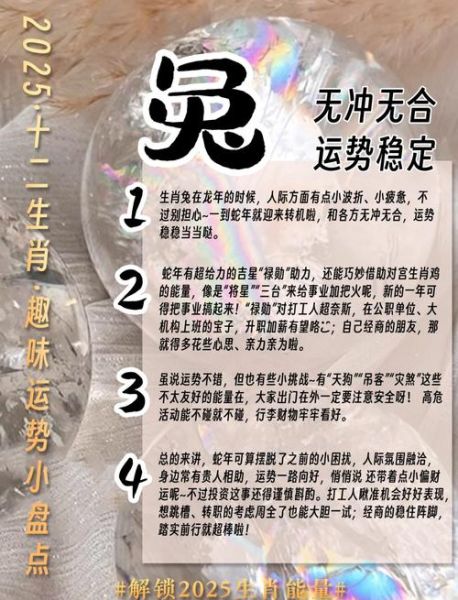 生肖属相改写人生（属兔的靠什么改写人生）