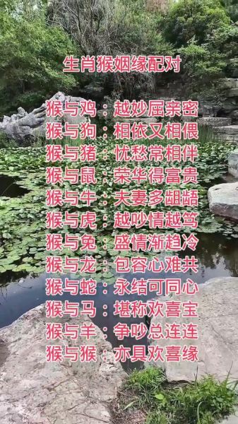 1992年属什么生肖属相（1992年属猴性格与婚配指南🐒）