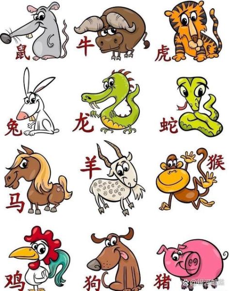 什么属相不怕累的生肖