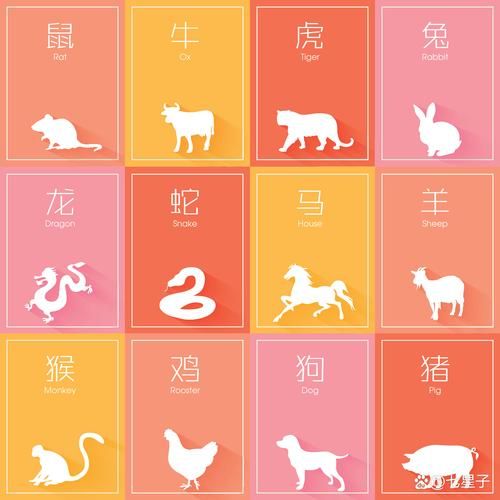 哪个生肖属相是小偷（哪个生肖最容易被说小偷？）