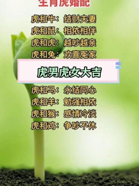 男生肖虎婚姻配对属相（属虎男和什么属相最般配）