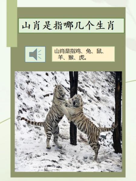 生肖龙最难追的属相（生肖龙最难追的属相是谁）