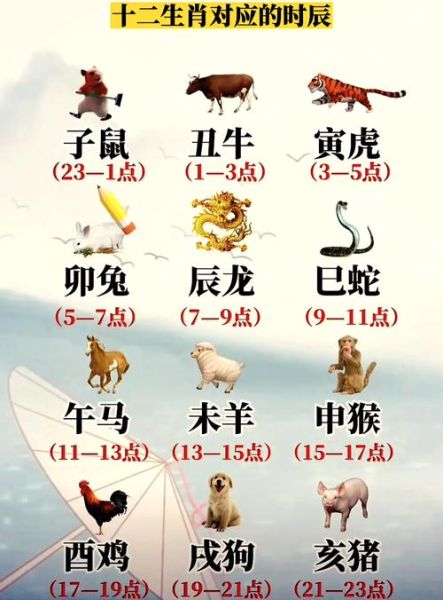 十二生肖出生时间属相（十二生肖出生时间属相查询表）