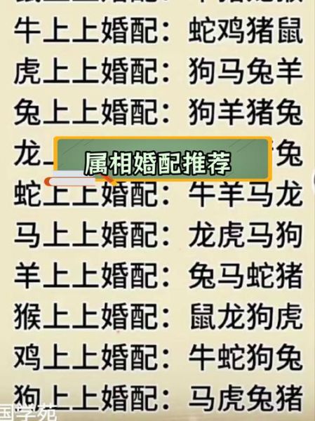 生肖属相因缘配对图片（生肖配对姻缘图真的有用吗？）