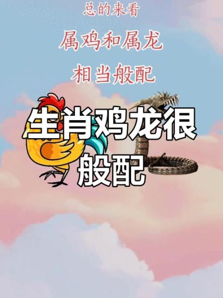 生肖鸡适合哪些属相（生肖鸡最佳配对属相有哪些？）