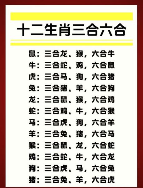 生肖的六合属相（生肖六合属相查询表✨）