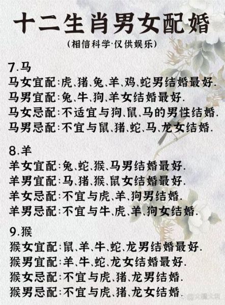 生肖属相配一览（生肖属相配一览表超全指南）