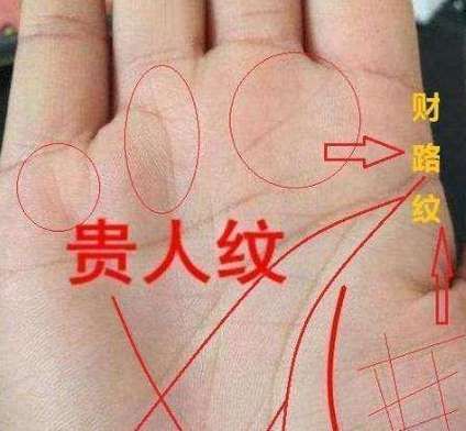 食指最佳生肖属相图片（食指手相十二生肖图片大全📷）