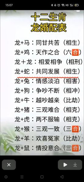 生肖龙的配偶属相（生肖龙最佳配偶属相大揭秘）