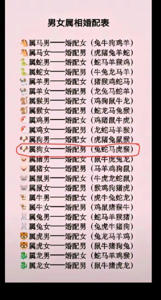 生肖猪男孩最佳配偶属相（生肖猪男孩最佳婚配属相解析）