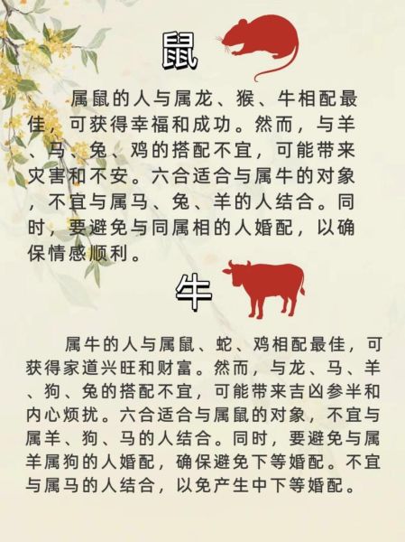 男生生肖属相合不合（牛和羊属相合不合婚后怎样化解）