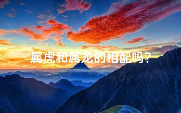 生肖属相龙和虎（龙和虎真的不能婚配吗？真相揭秘！）