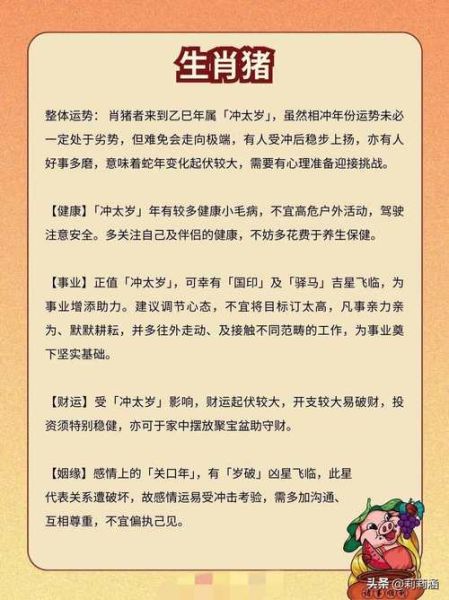 生肖猪的属相介绍（生肖猪的属相性格与运势全面解析）