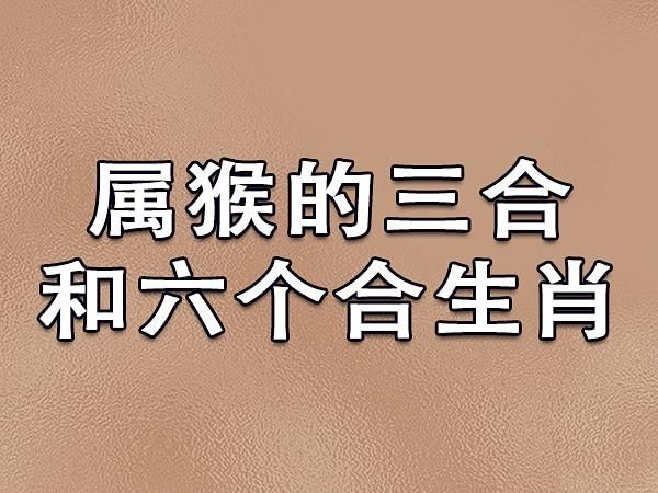 生肖猴配对什么属相好（生肖猴配什么属相最好）