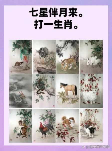 淑女猜个生肖属相（淑女猜个生肖属相？答案竟是兔！）