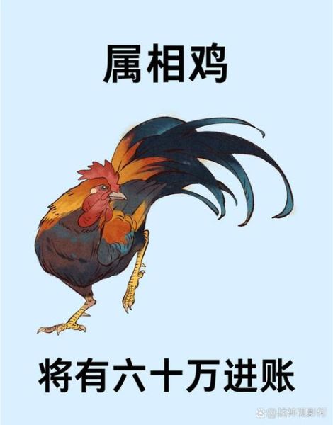 鸡的属相不合生肖（属鸡的属相不合有哪些生肖）