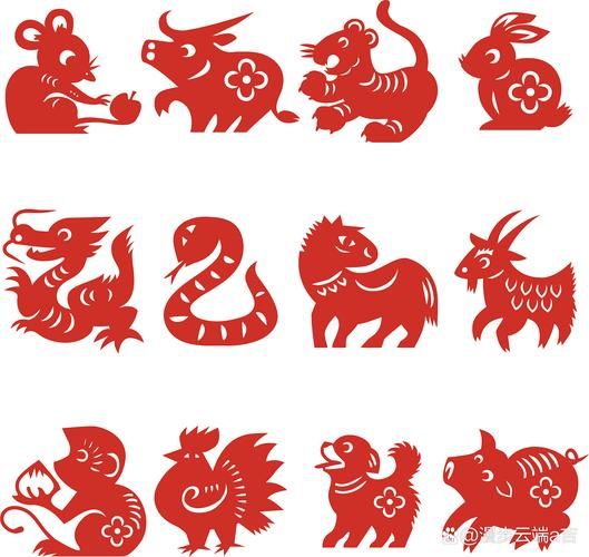 生肖属相讲解图解视频（生肖属相图解视频新手教程🐲）