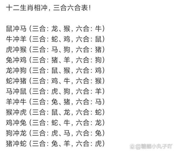 生肖龙与生肖猪属相合吗（生肖龙与猪合不合婚）
