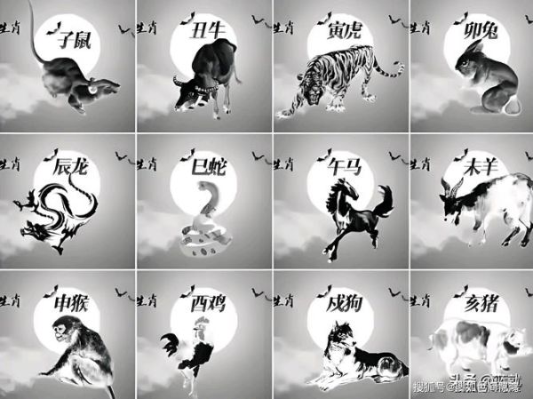 生肖派对最坏的属相（生肖派对最坏的属相是谁）