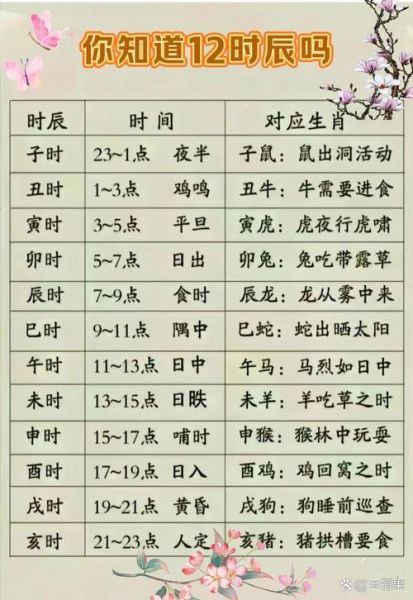 戌时辰属什么生肖属相（戌时辰属什么生肖）