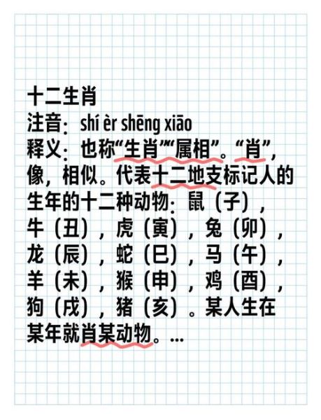 生肖属相读音（生肖属相读音怎么读全教程）