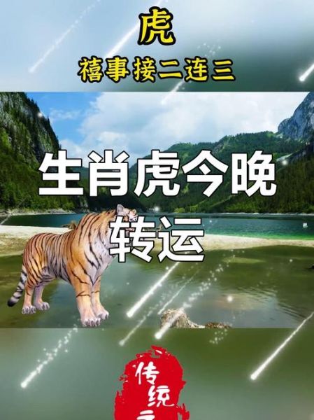 老虎配合的生肖属相