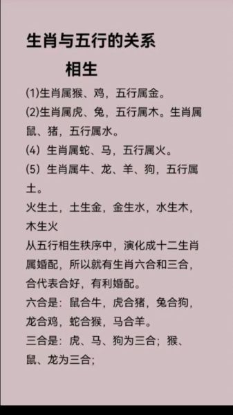 木代表哪个属相的生肖（木对应哪个生肖？新手一分钟看懂）