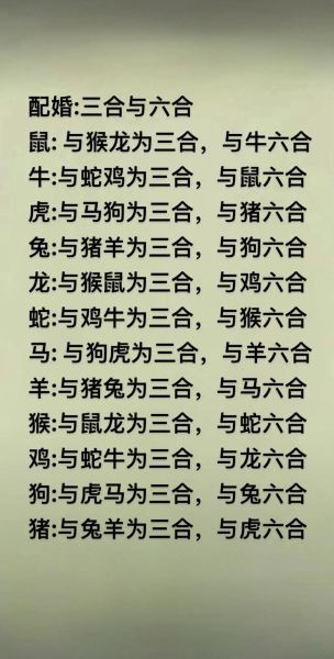 蛇狗属什么生肖属相（蛇狗属什么生肖怎么看）