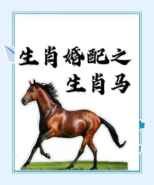 生肖马适合什么属相结婚（生肖马和什么属相最配婚姻）