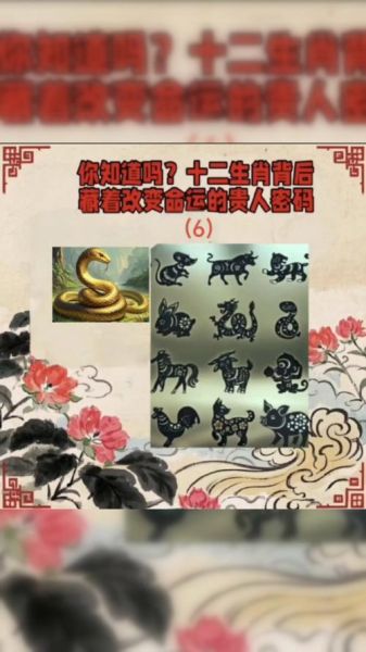 蛇的生肖贵人属相（蛇的贵人属相是谁）