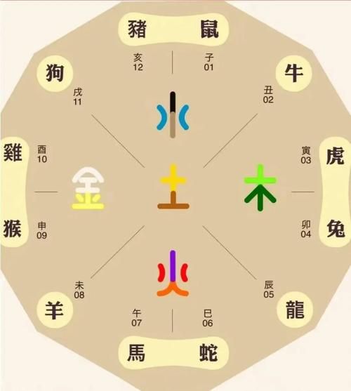 80多岁属什么生肖属相（80多岁属什么生肖的属相）