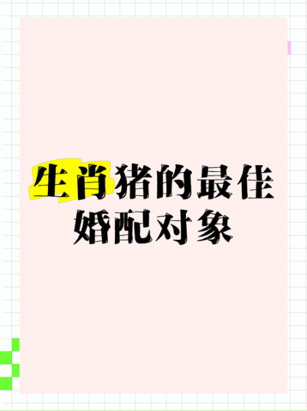 生肖猪的婚姻属相（生肖猪最佳婚配属相是谁）