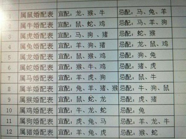虎鼠生肖属相婚配（虎鼠生肖婚配合不合适）