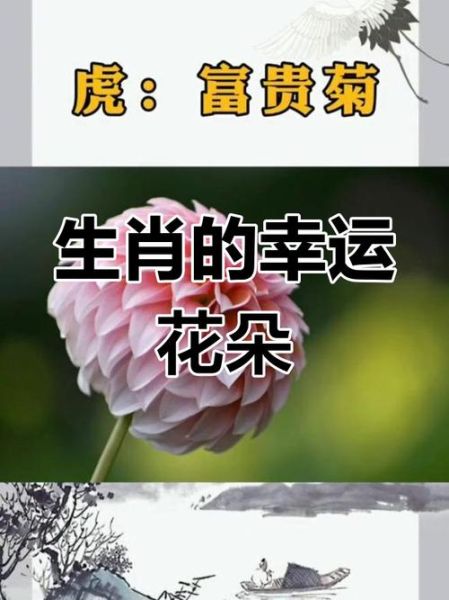生肖属相开运花（生肖开运花有哪些及摆放秘诀）