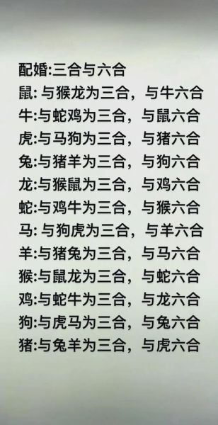 生肖属相相合却离婚（生肖属相相合却离婚的真相）