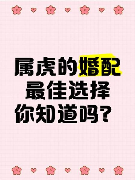 生肖虎的最佳配对属相（生肖虎最佳婚配属相是谁？）