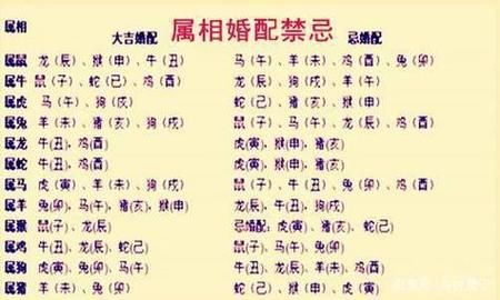 生肖不合结婚的属相女孩（生肖不合结婚的属相女孩忌讳）
