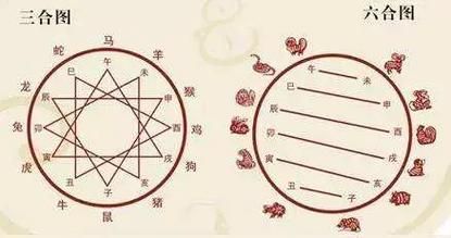 生肖羊相冲的属相(生肖羊的六合贵人是什么属相)