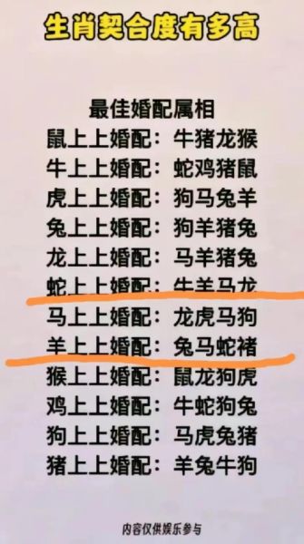 生肖马虎属相婚姻配对