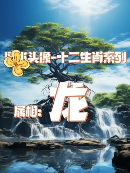 黑土属相是什么生肖（黑土属相是什么生肖？一查就懂）