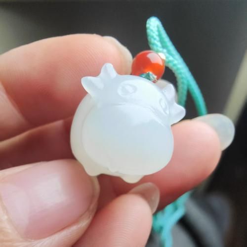 生肖属相玉值钱吗图片(生肖属相玉吊坠值不值钱小白扫盲贴)