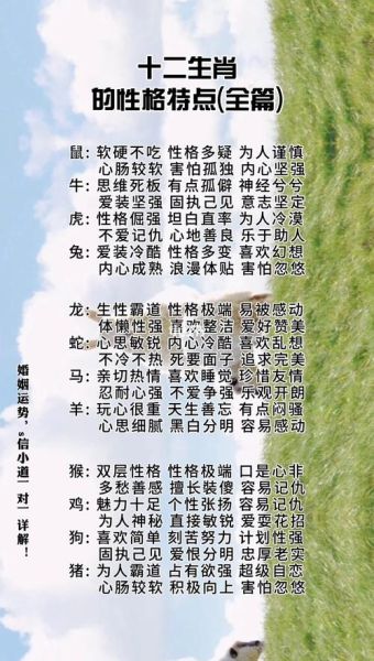 布法尔属什么生肖属相(布法尔属什么生肖?揭秘他的属相与性格)