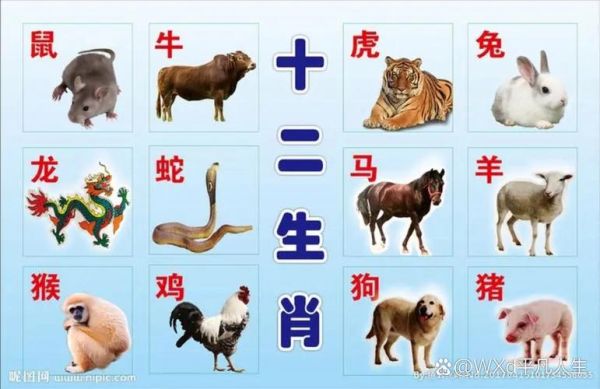 十二生肖里有几个大属相（十二生肖几个是大属相？）