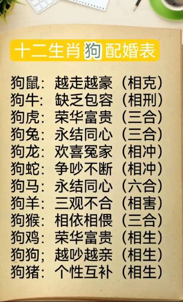 生肖狗属相配对（生肖狗和什么属相最配）